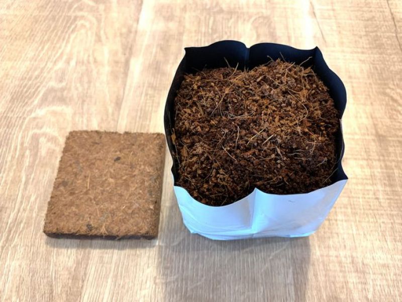 calbee ra mắt bộ trồng khoai tây tại nhà calbee ra mắt bộ trồng khoai tây tại nhà